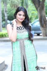 Nikitha Narayan at Mellaga Tattindi Manasu Talupu Movie Press Meet